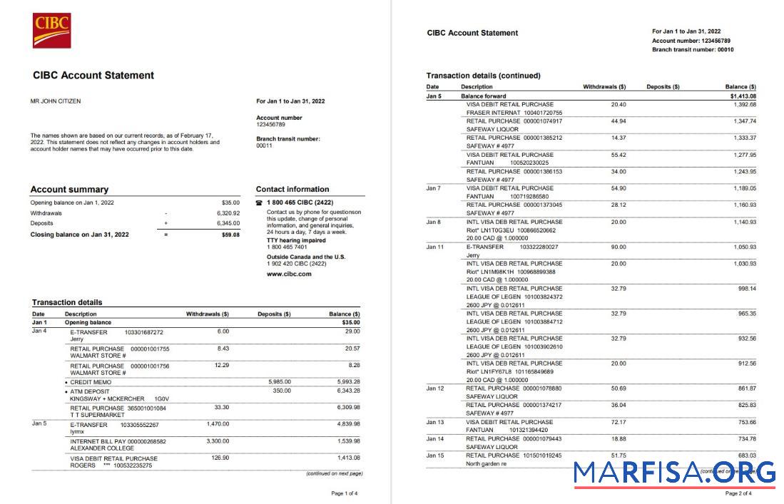 Downloadable USA CIBC bank statement word 4 pages sample